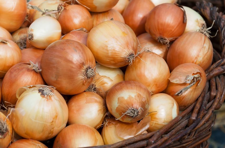 onion in basket